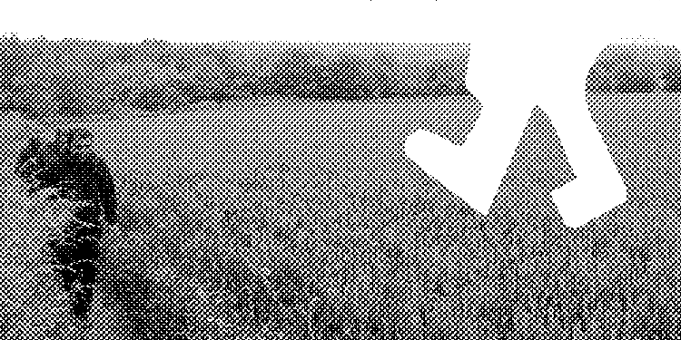 MARCHE TRAM SITE.png (31 KB)